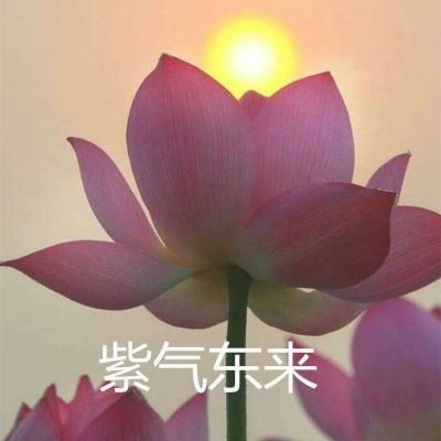 魔钥台服下载
